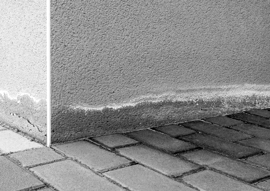 imocheck-probleme-depistate-2